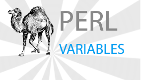 Perl Variable
